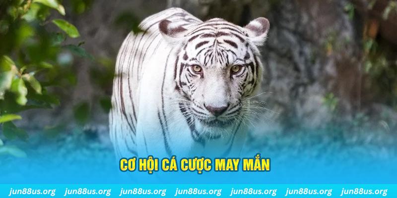 sunwin club hết slot la gì