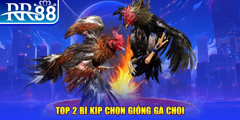 sunwin club đăng nhập roulette dễ thắng