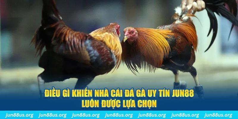 sunwin club qq88 nổ hũ bắn cá