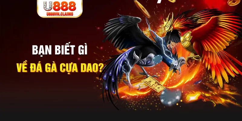 sunwin club xổ số kiến thiết