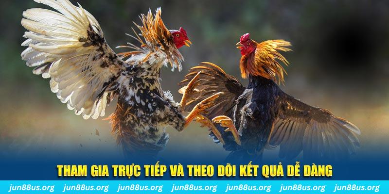 sunwin club đá gà trực tiếp bình luận viên