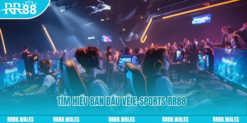sunwin club Đĩa màu ace