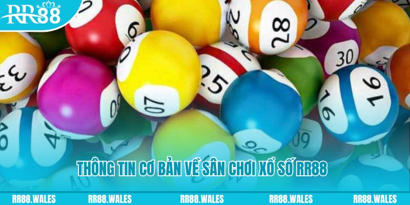 sunwin club tải game xếp bài trên máy tính
