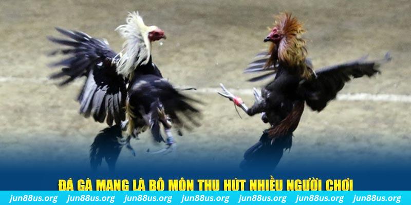 sunwin club xổ số cà mau