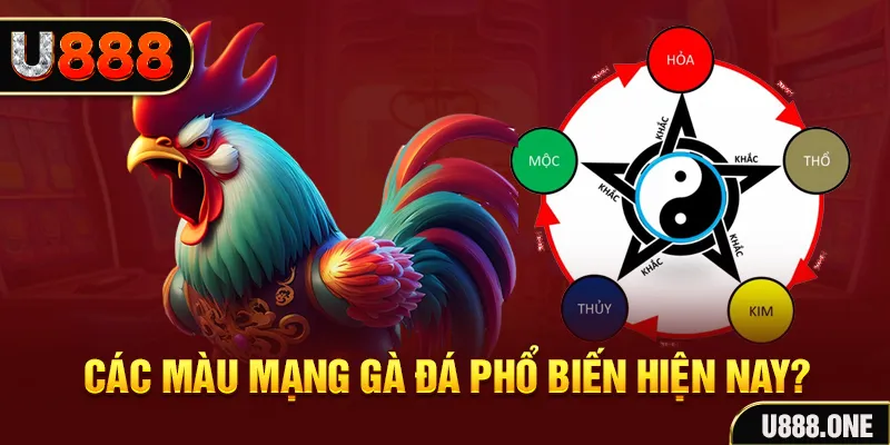 sunwin club đăng nhập mậu binh