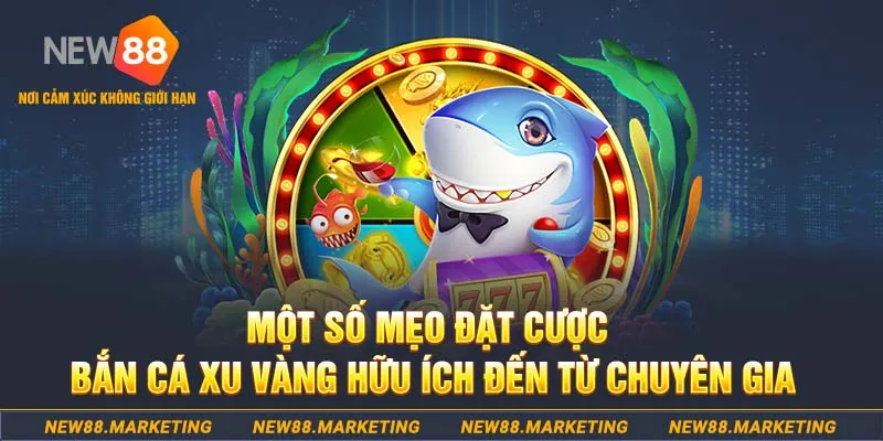 sunwin club Tài Xỉu