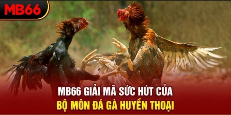 sunwin club Phi Đội Ưu Tú