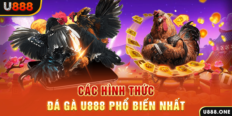 sunwin club DB Trực Tuyến