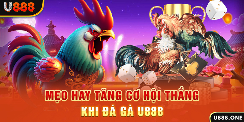 sunwin club trực tiếp gà chọi c1
