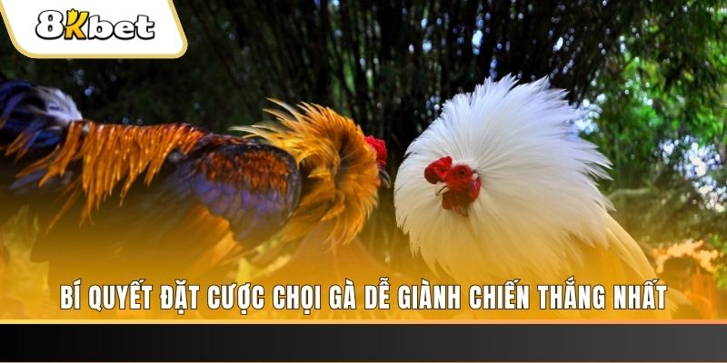 sunwin club Tài Xỉu 2