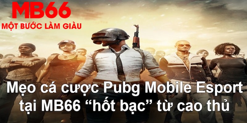 sunwin club gà chọi mộc hóa