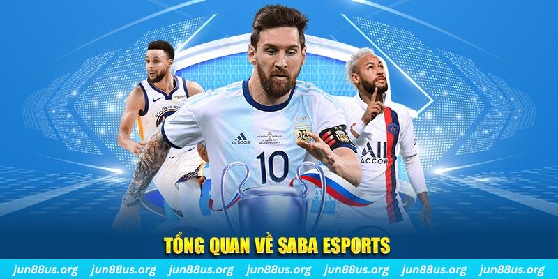 sunwin club gà chọi c1 tv trực tiếp hôm nay